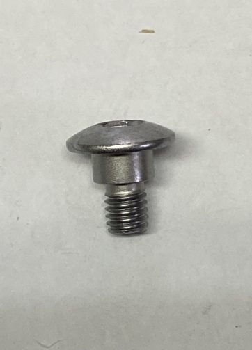 90113GFPB00 VITE CON TESTA A BOTTONE 6X12
