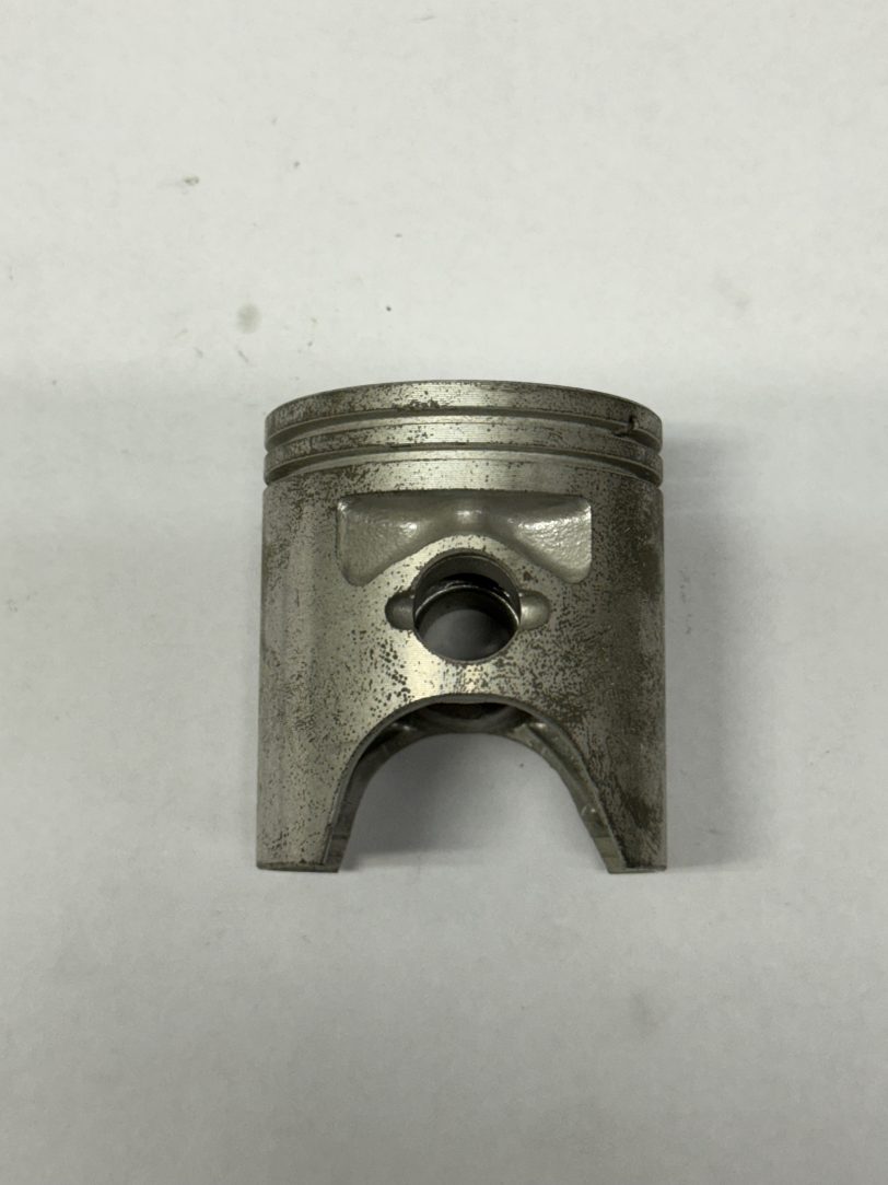13101GW3010 PISTONE