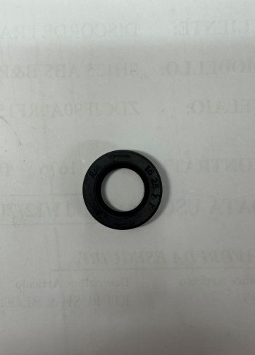 91202383902 PARAOLIO 15X25X7