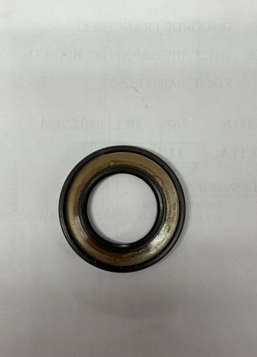 91205283015 PARAOLIO 33X57X7