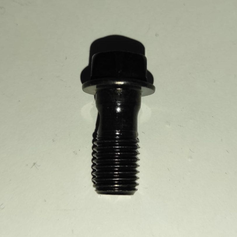 90145MS9612 BULLONE OLIO 10X22 (SAGA)