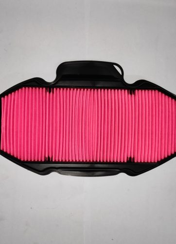 17210MGSD30 ELEMENTO FILTRO ARIA COMP.