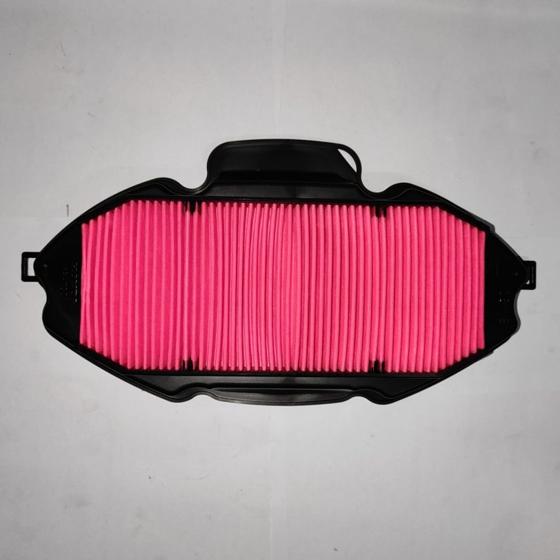 17210MGSD30 ELEMENTO FILTRO ARIA COMP.