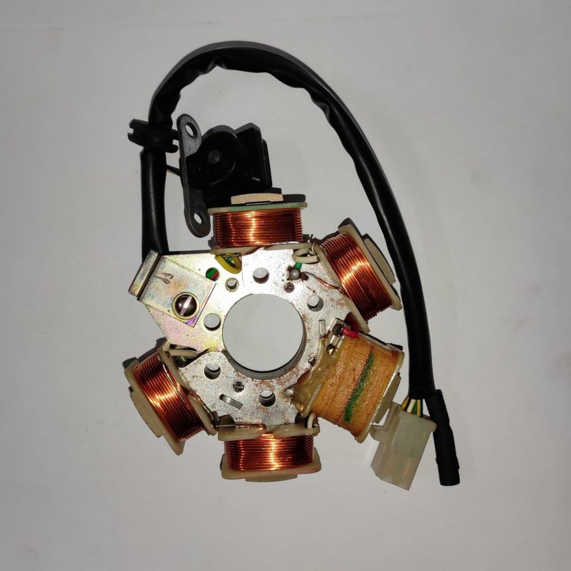31120GT8750 STATORE COMP. - immagine 2