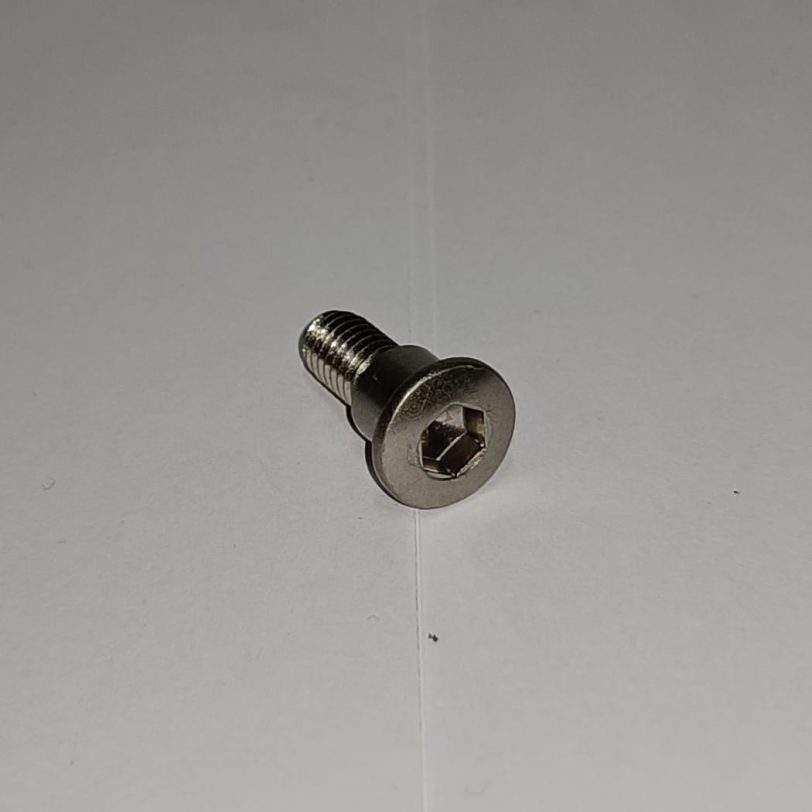 90107MM5000 VITE CON TESTA A BOTTONE 6X17