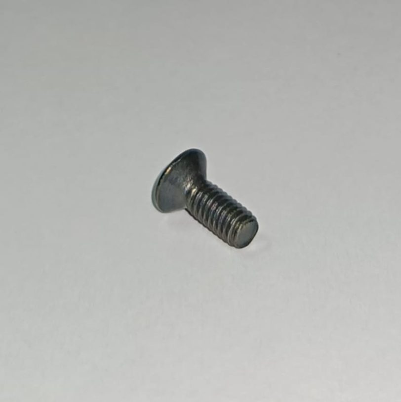93700040100G VITE CON TESTA OVALE 4X10 - immagine 2