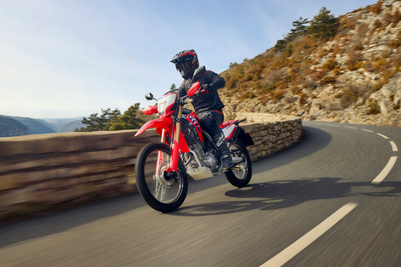 CRF300L