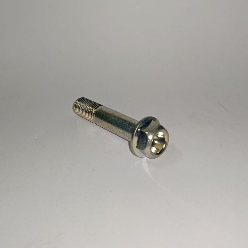 90106GN5900 BULLONE FLANGIATO 10X50