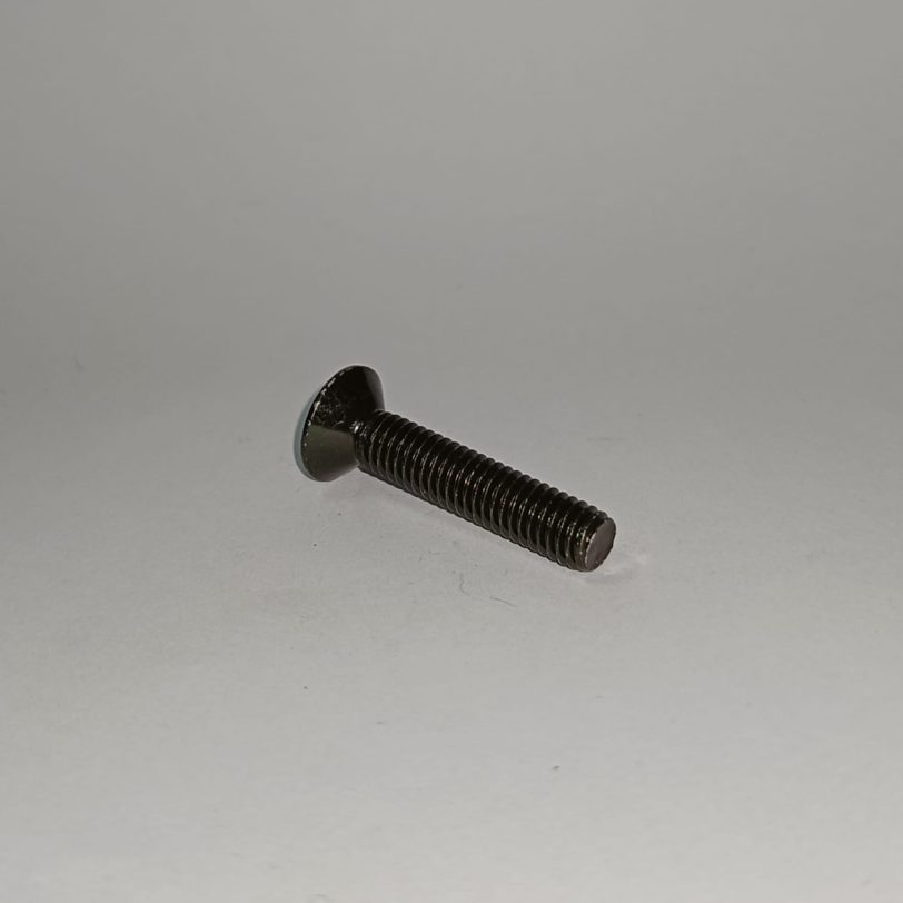 93700060600G VITE CON TESTA OVALE 6X60 - immagine 2