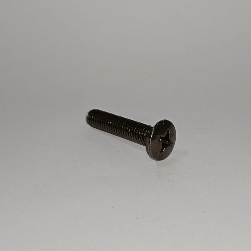 93700060600G VITE CON TESTA OVALE 6X60