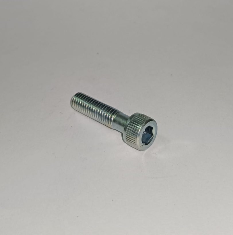 966000602500 BULLONE A ESAGONO INCASSATO 6X25