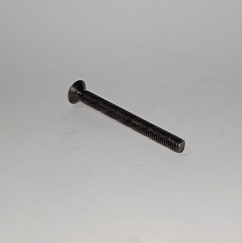90191MGZJ00 VITE CON TESTA OVALE 6X60 - immagine 2