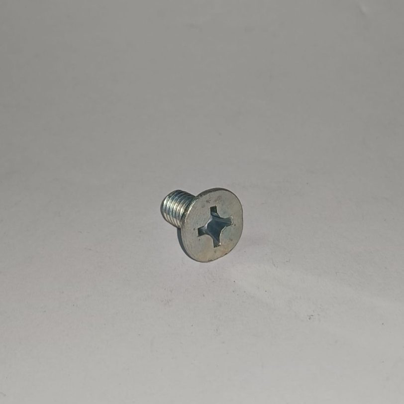 93600060120G VITE CON TESTA PIATTA 6X12