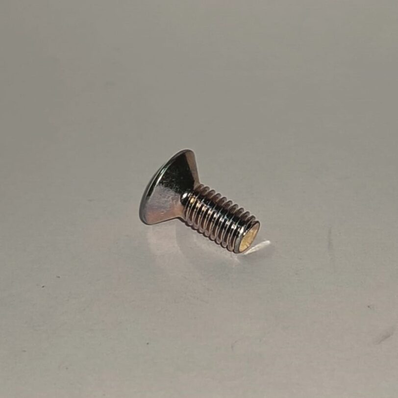 93700050120A VITE CON TESTA OVALE 5X12 - immagine 2
