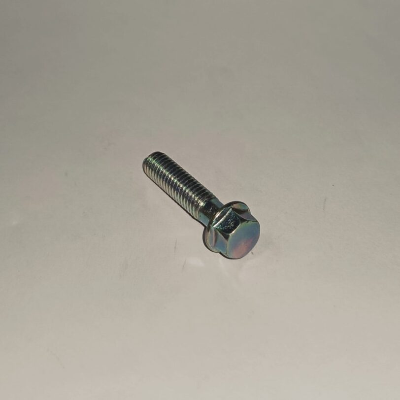 960010602500 BULLONE FLANGIATO 6X25
