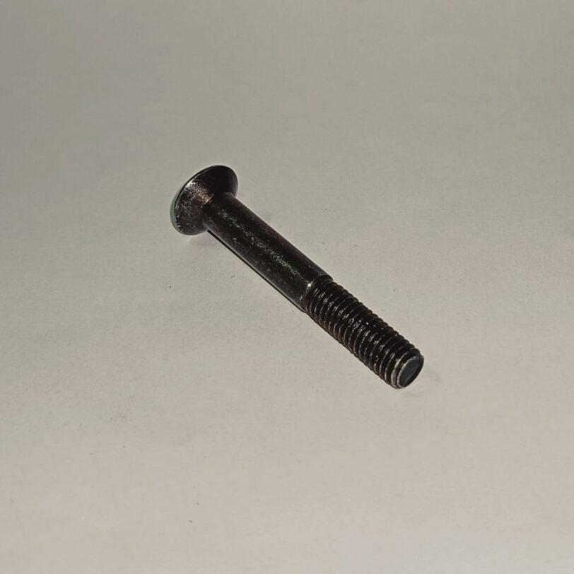 90191KWB600 VITE CON TESTA OVALE 6X45 - immagine 2