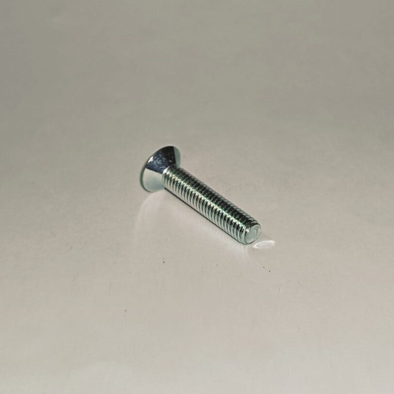 93700050250A VITE CON TESTA OVALE 5X25 - immagine 2