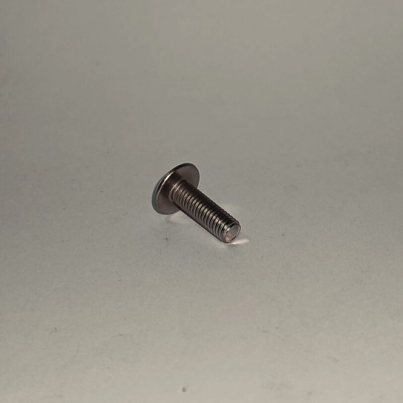 90001MG1000 VITE SPECIALE 5X16 - immagine 2