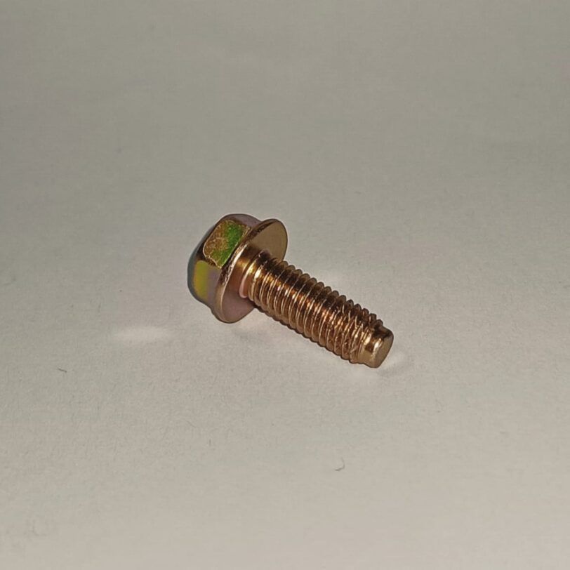 90029888000 BULLONE FLANGIATO 6X16 (CT200) - immagine 2