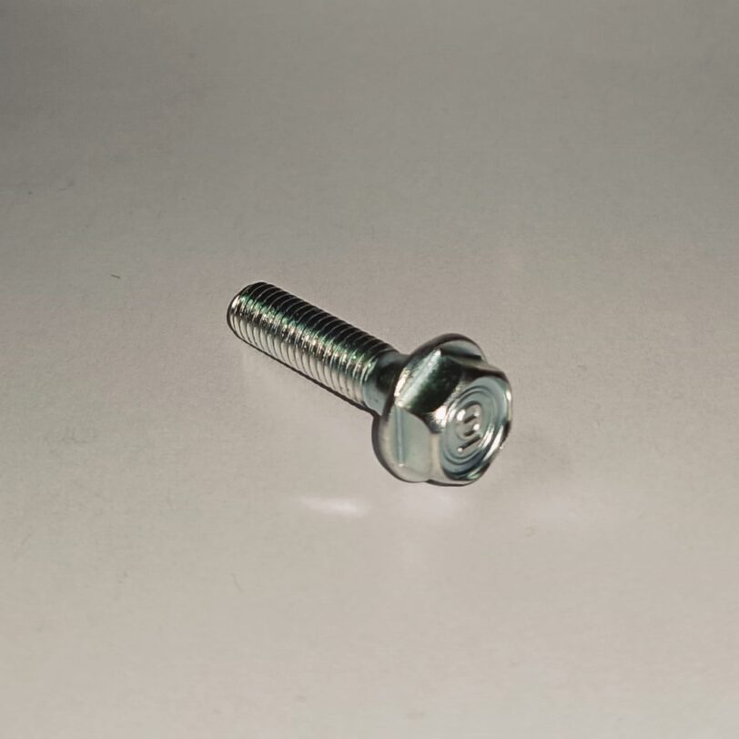 958010602500 BULLONE FLANGIATO 6X25