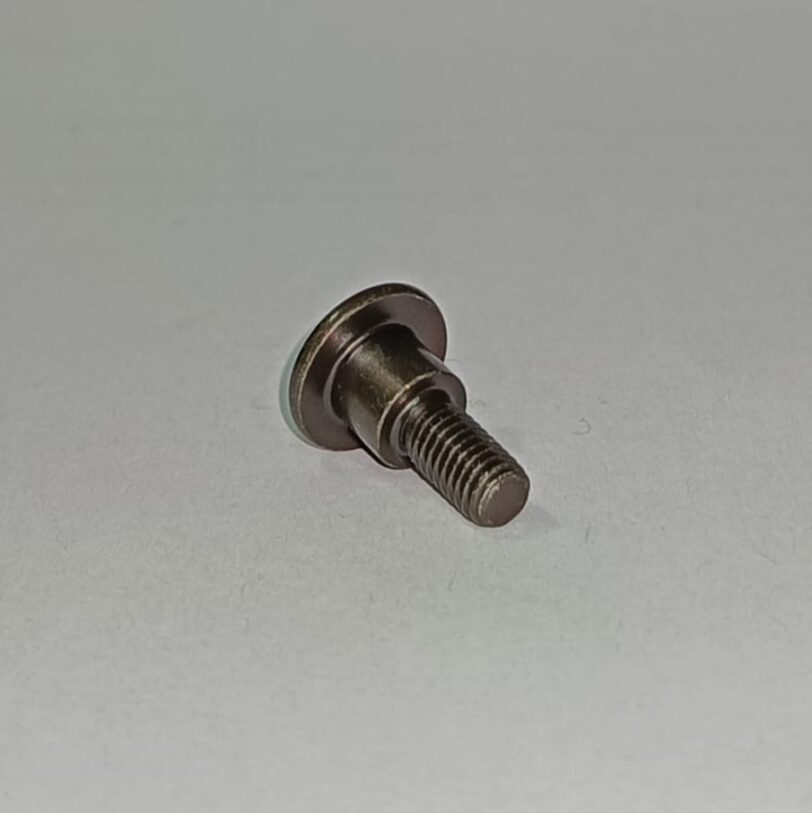 90102GB2720 VITE CON TESTA A BOTTONE 5X16 - immagine 2