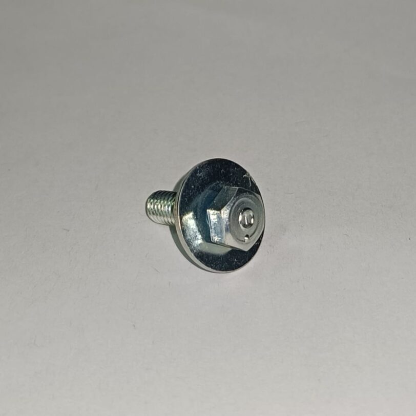 90101GK8000 BULLONE CON RONDELLA 5X16