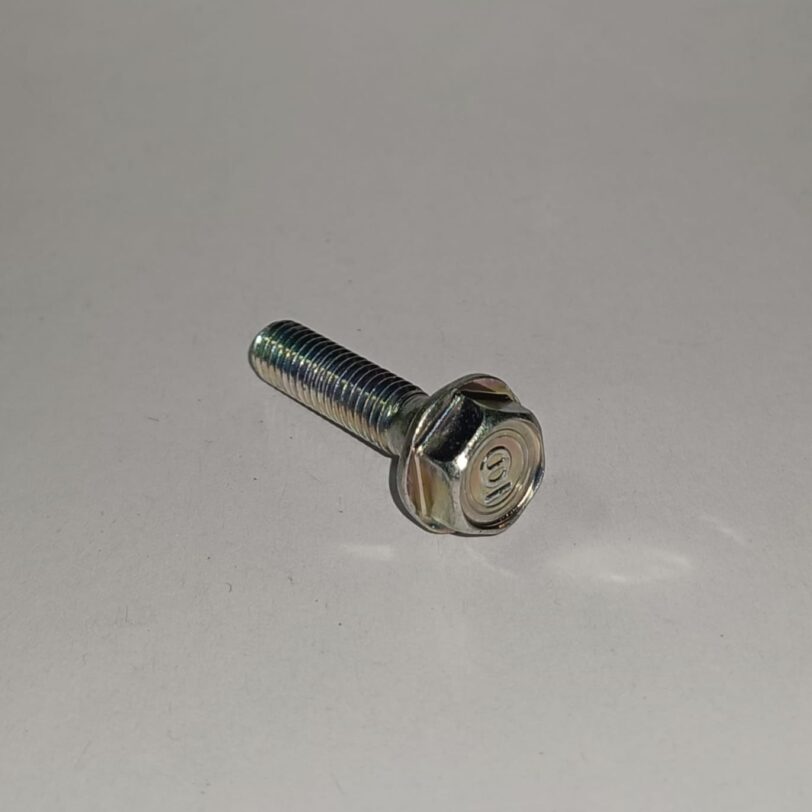 958010602508 BULLONE FLANGIATO 6X25