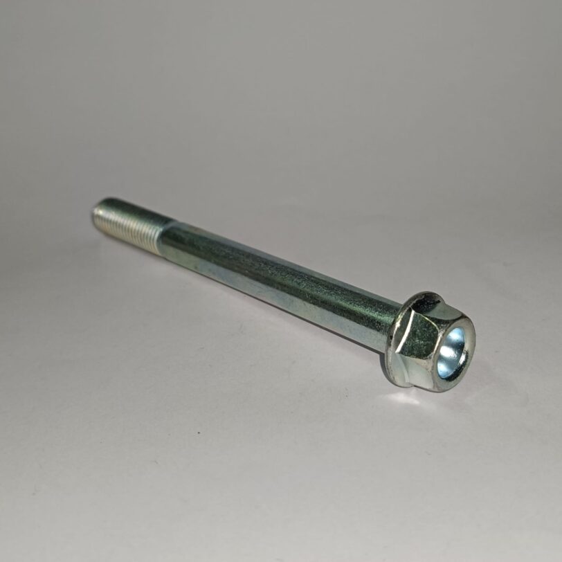 964001010000 BULLONE FLANGIATO 10X100