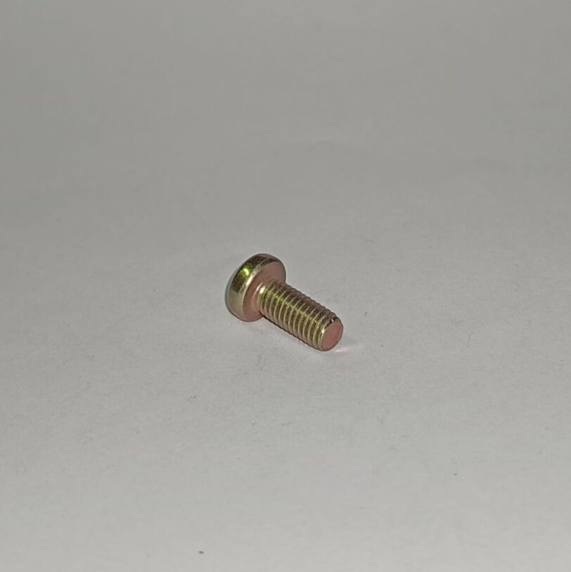 93500050120H VITE CON TESTA A BOTTONE 5X12 - immagine 2