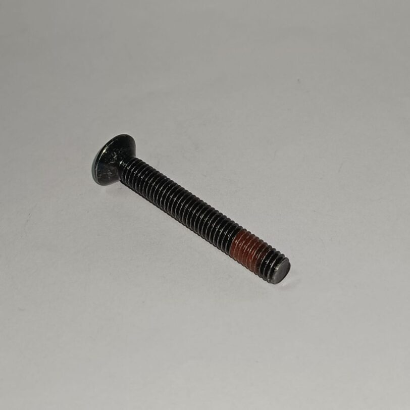 90108KTW900 VITE CON TESTA OVALE 6X45 - immagine 2
