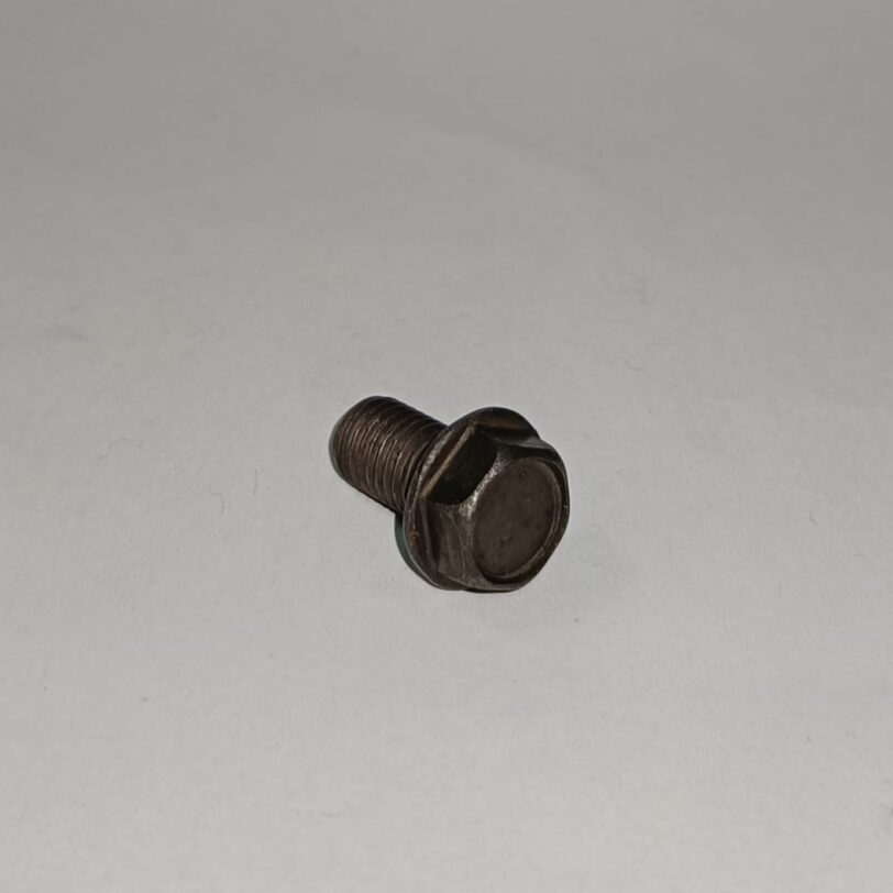 90086MZ8H00 BULLONE SPECIALE A COLLETTO, 7X13