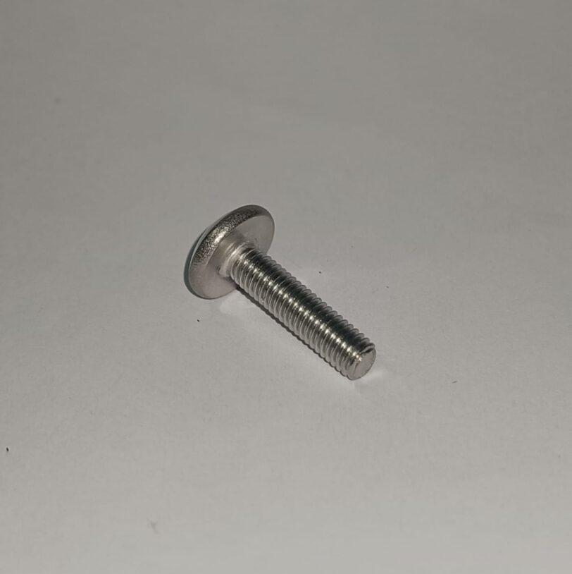90118MJPG50 VITE CON TESTA A BOTTONE 5X20 (SUS) - immagine 2