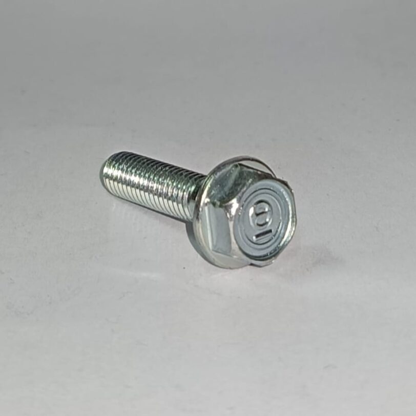 957010602500 BULLONE FLANGIATO 6X25