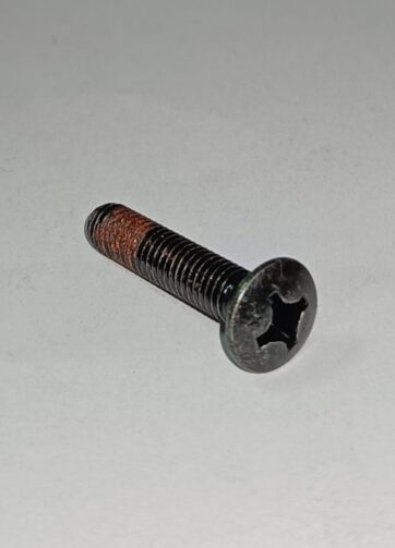 90107GGC900 VITE CON TESTA OVALE 6X30