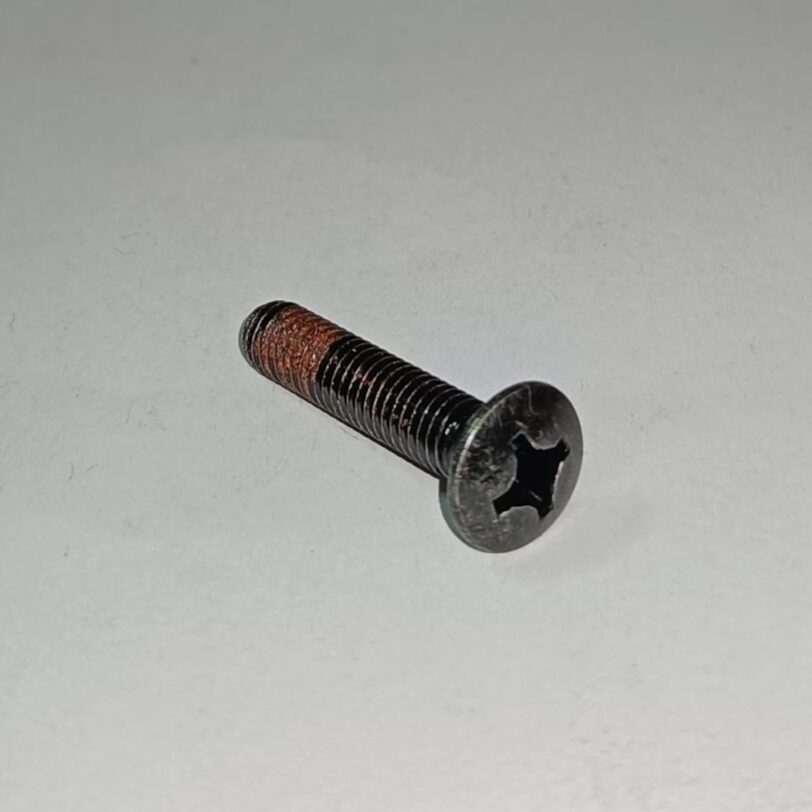 90107GGC900 VITE CON TESTA OVALE 6X30