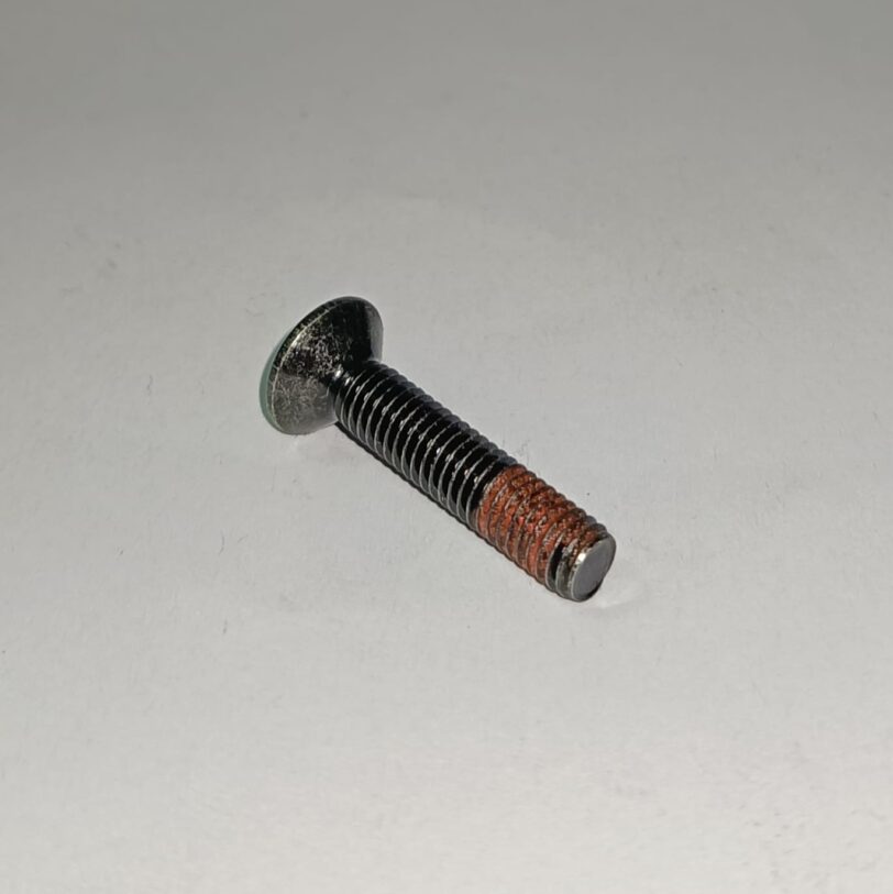 90107GGC900 VITE CON TESTA OVALE 6X30 - immagine 2