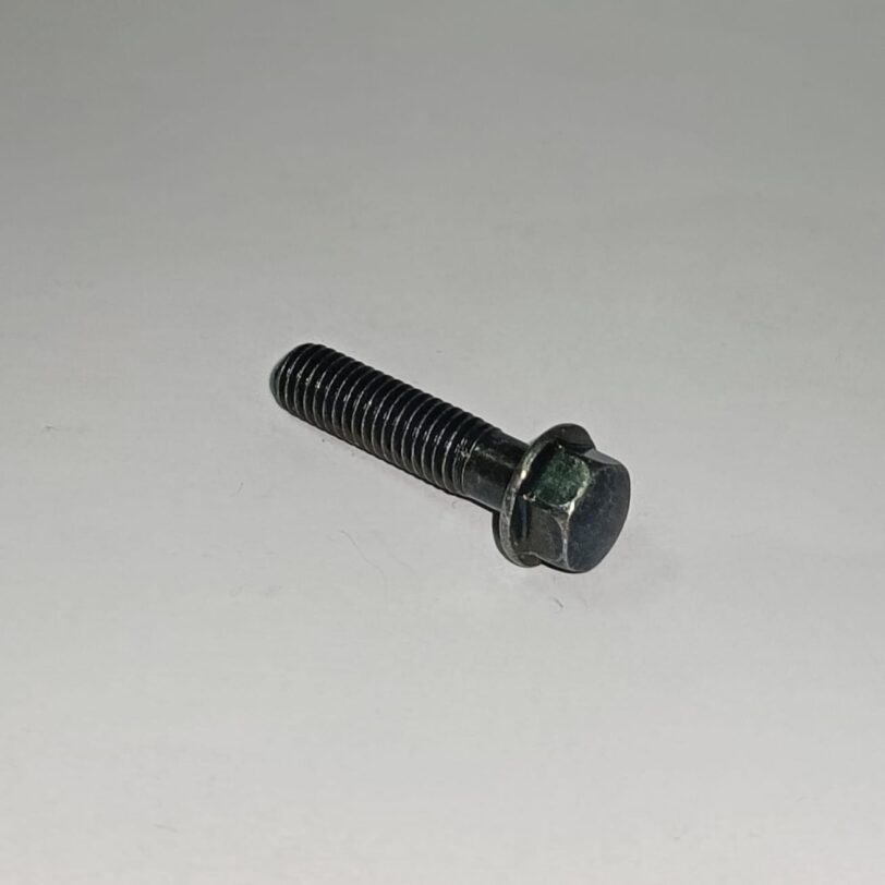 960010602507 BULLONE FLANGIATO 6X25